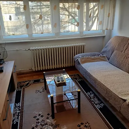 Your Cozy Place Daire